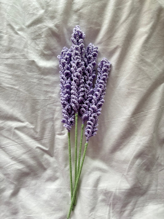 Lavanda